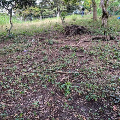 unica SE VENDEN LOTES CAMPESTRES EN FUSAGASUGÁ