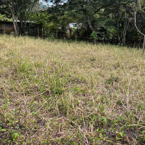 unica SE VENDEN LOTES CAMPESTRES EN FUSAGASUGÁ
