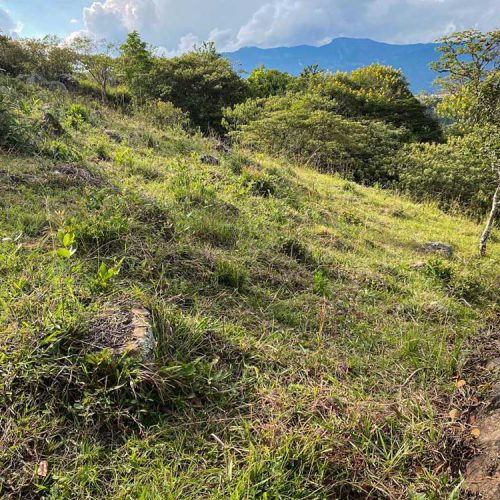 unica SE VENDEN LOTES CAMPESTRES EN FUSAGASUGÁ