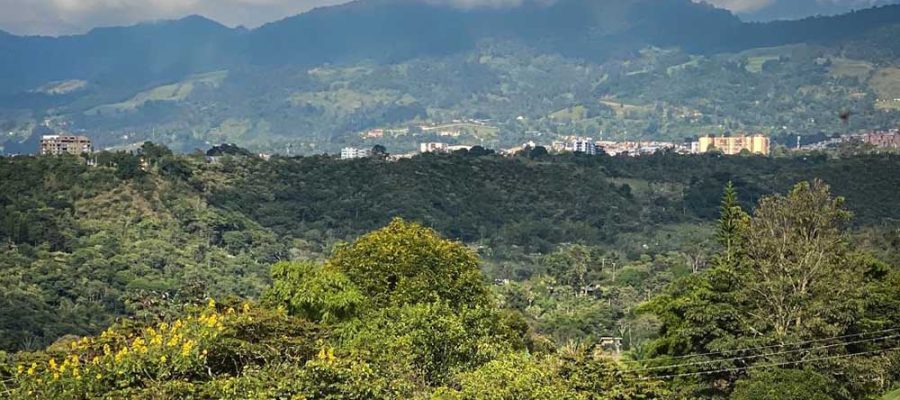 SE VENDEN LOTES CAMPESTRES EN FUSAGASUGÁ