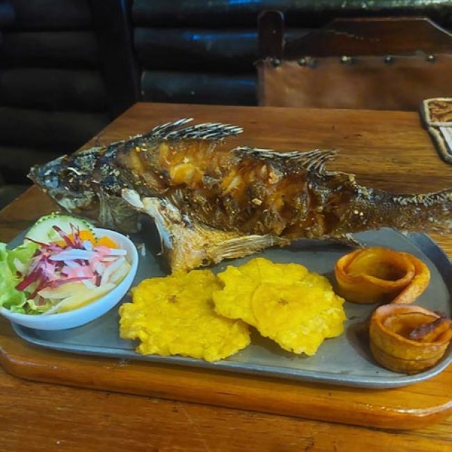 BAR Y RESTAURANTE TIERRAS AMAZONICAS