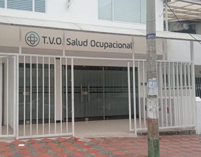 TVO Salud Ocupacional