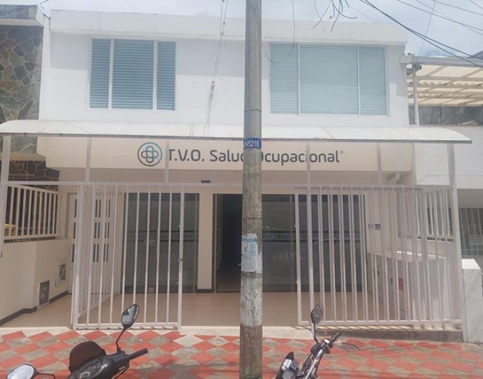 TVO Salud Ocupacional