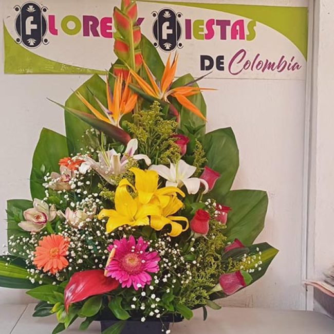 FLORES Y FIESTAS DE COLOMBIA (FUSA)