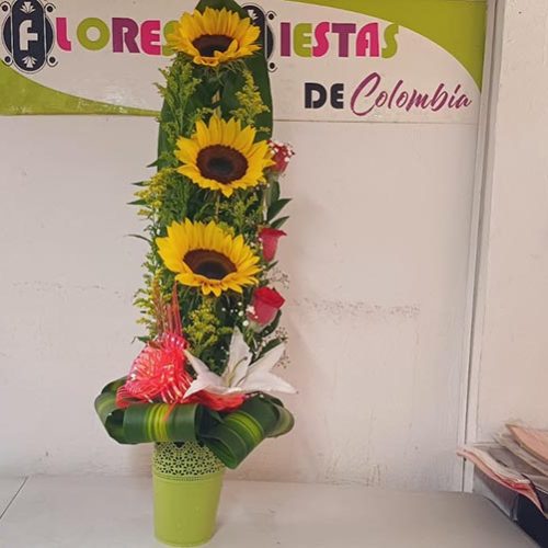 FLORES Y FIESTAS DE COLOMBIA (FUSA)