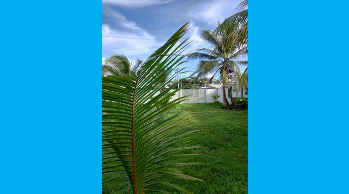 POSADA ELSY BAR CHALET