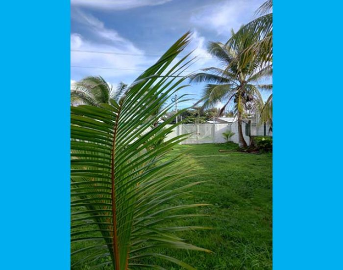 POSADA ELSY BAR CHALET