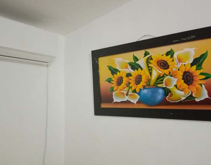 GIRASOLES DE MARTICA