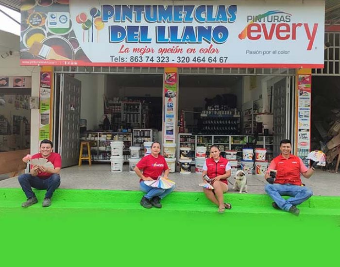 PINTUMEZCLAS DEL LLANO