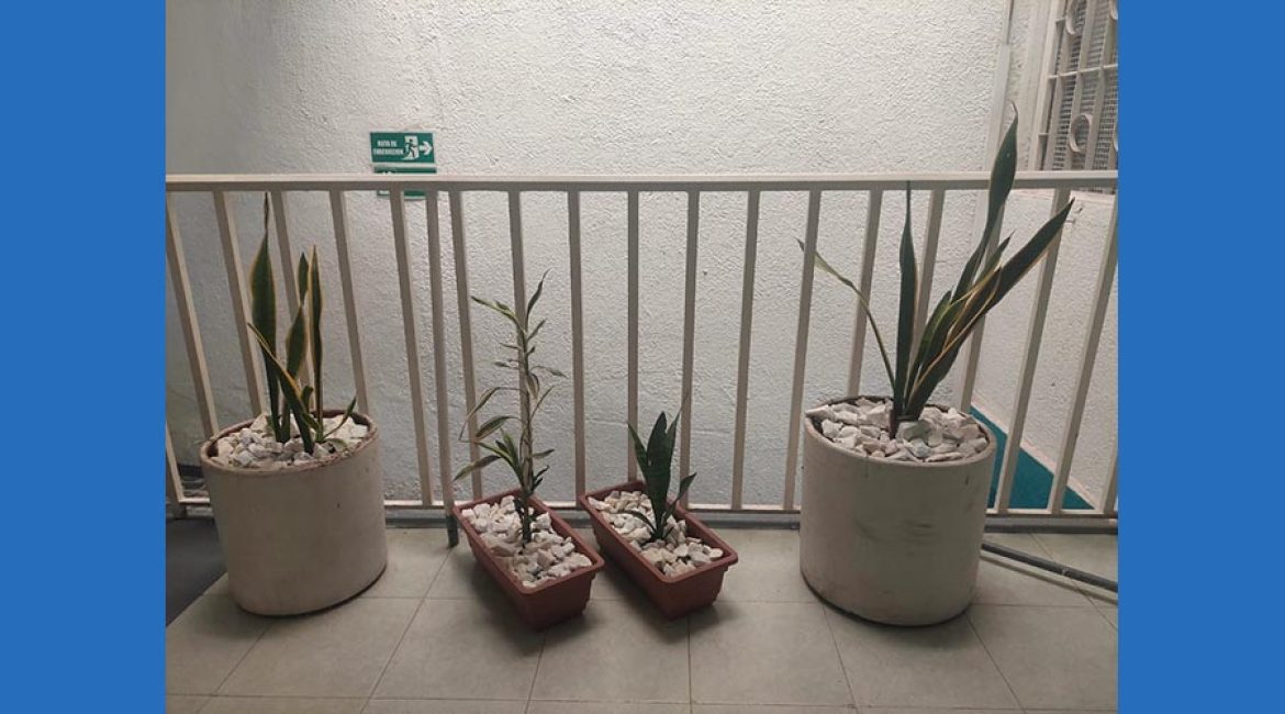 Hotel Las Estrellas Melgar