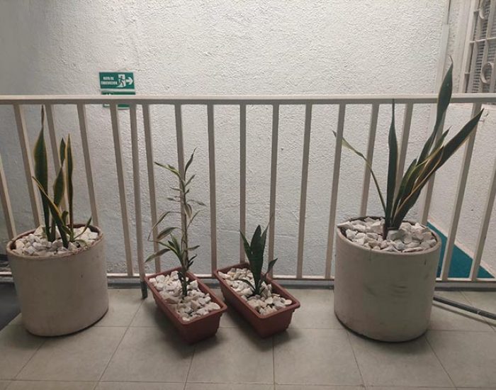 Hotel Las Estrellas Melgar