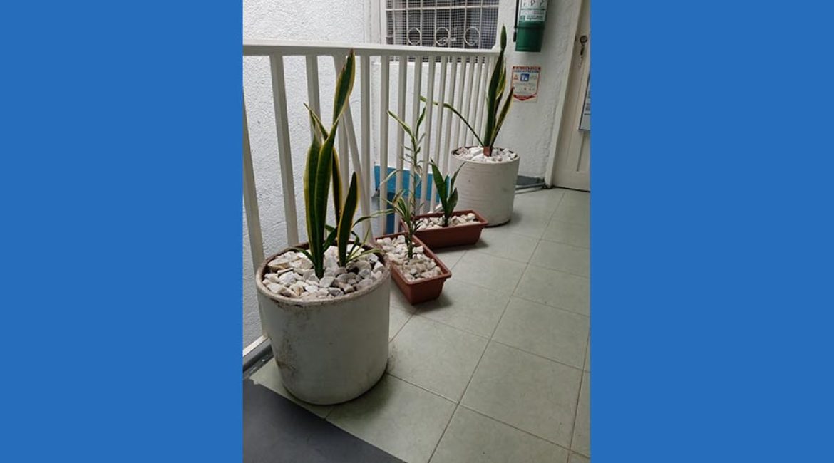 Hotel Las Estrellas Melgar