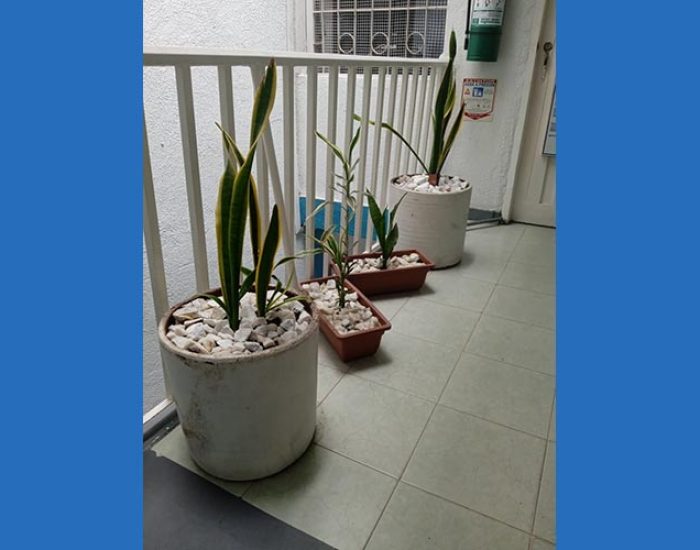 Hotel Las Estrellas Melgar