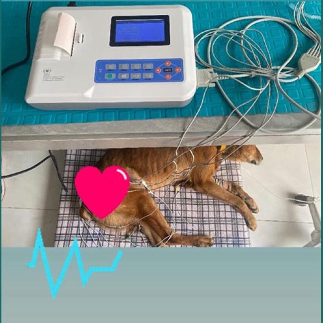 VETSANAR CLINICENTRO VETERINARIO