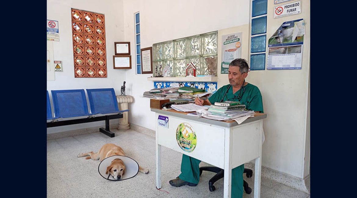 Clínica Veterinaria Rommy