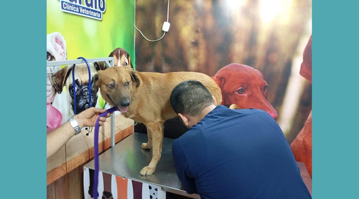 PETS & CARDIO CLINICA
