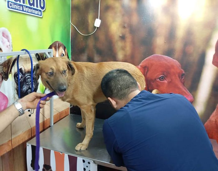PETS & CARDIO CLINICA