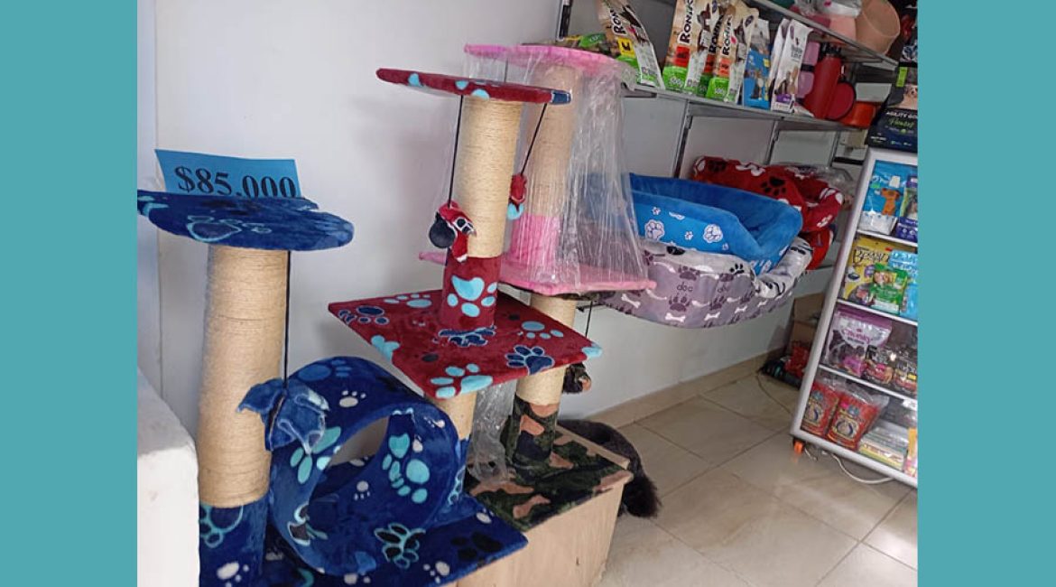 PETS & CARDIO CLINICA