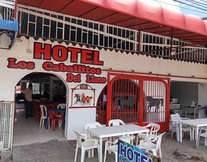 Hotel Los Caballitos del Llano
