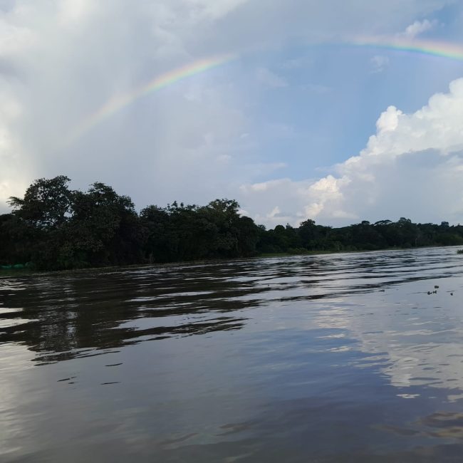NAINEKU LODGE - SELVA