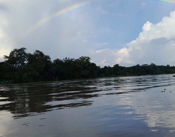 NAINEKU LODGE - SELVA