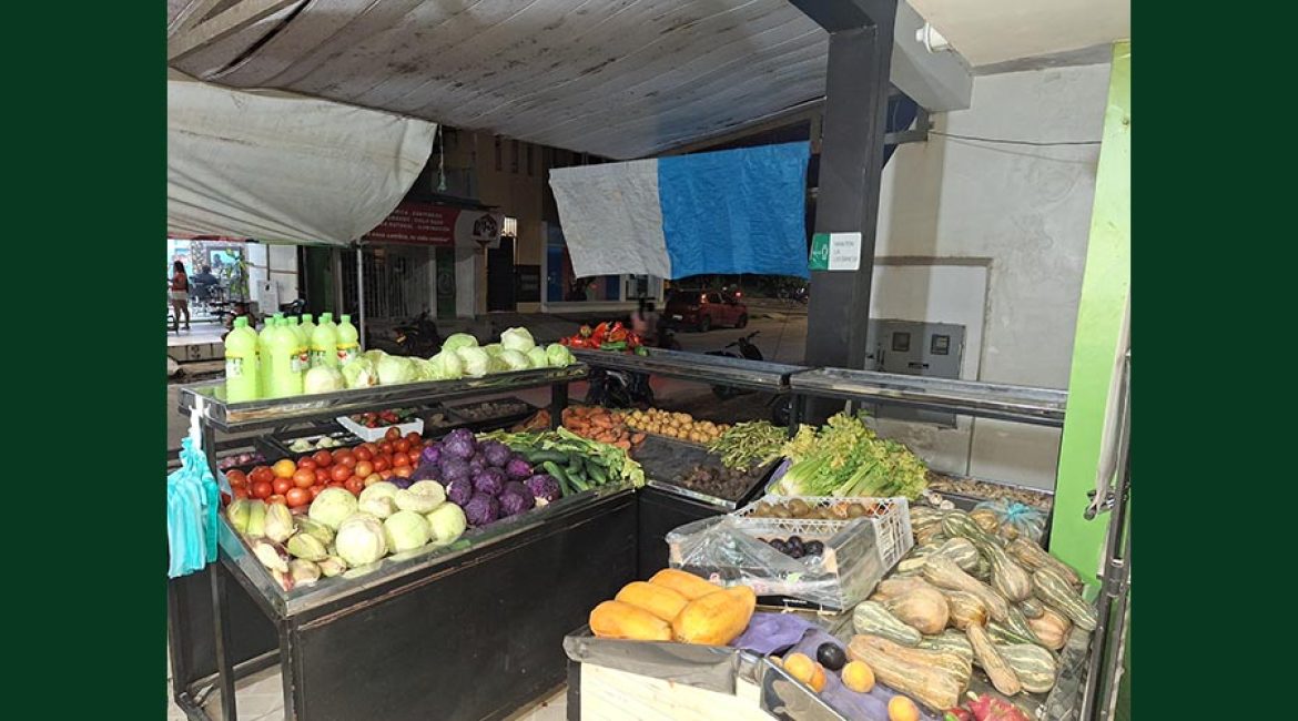 DISTRIBUIDORA CUBILLOS LC FRUTAS Y VERDURAS