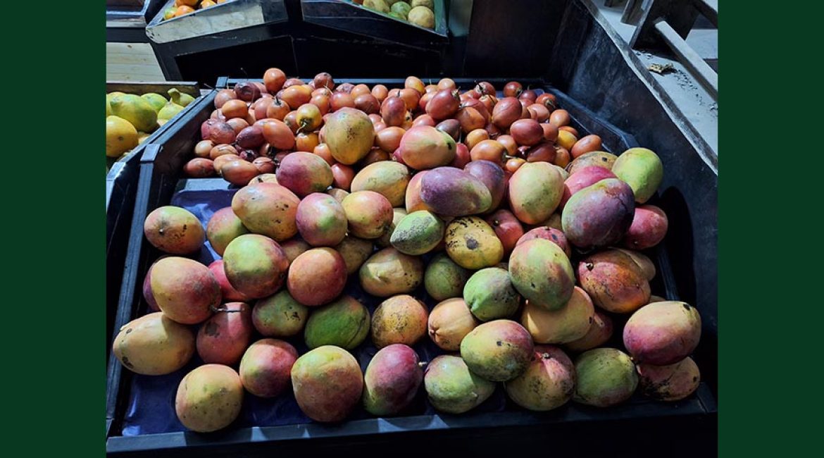 DISTRIBUIDORA CUBILLOS LC FRUTAS Y VERDURAS