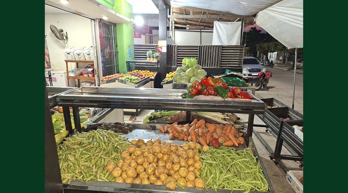DISTRIBUIDORA CUBILLOS LC FRUTAS Y VERDURAS