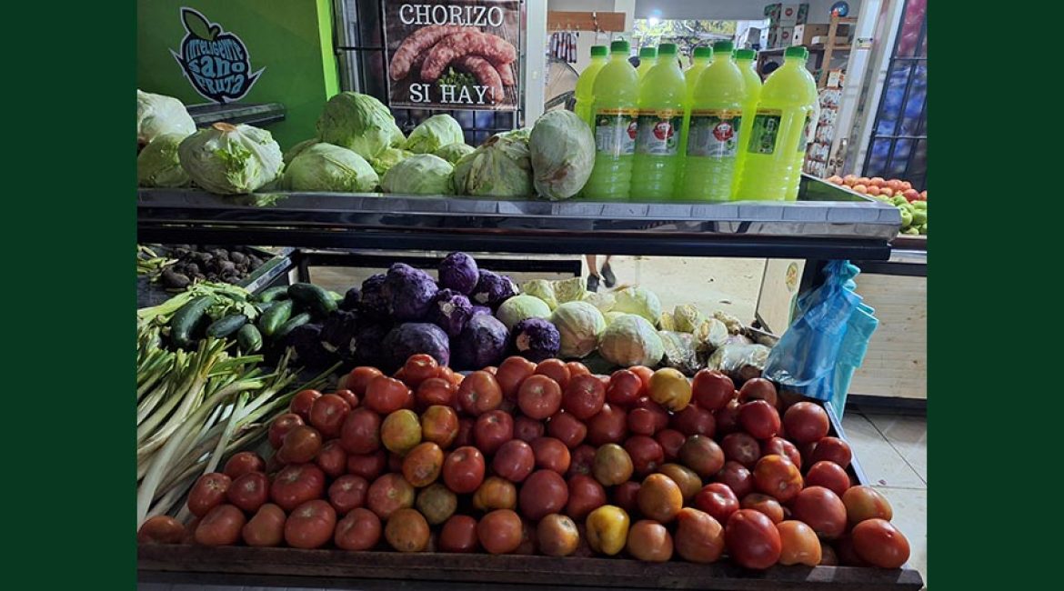 DISTRIBUIDORA CUBILLOS LC FRUTAS Y VERDURAS