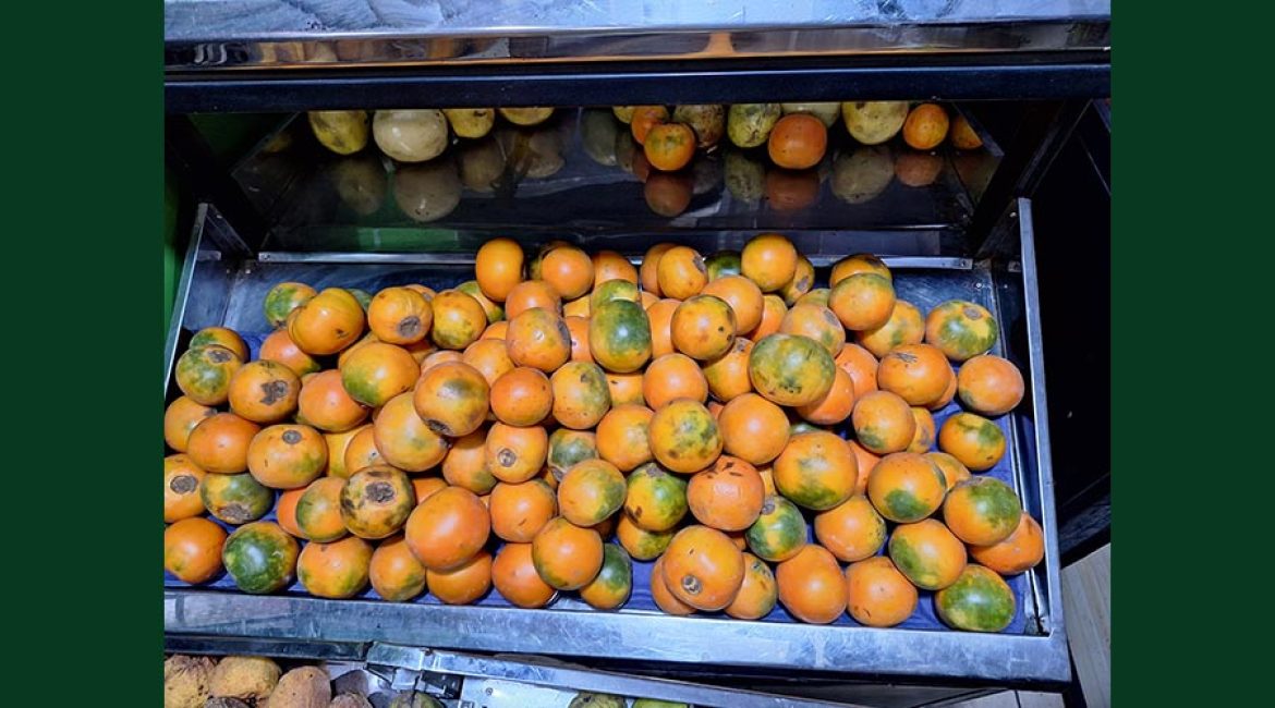 DISTRIBUIDORA CUBILLOS LC FRUTAS Y VERDURAS