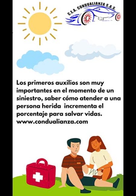 C.E.A. CONDUALIANZA S.A.S.