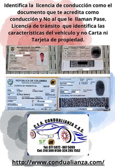 C.E.A. CONDUALIANZA S.A.S.