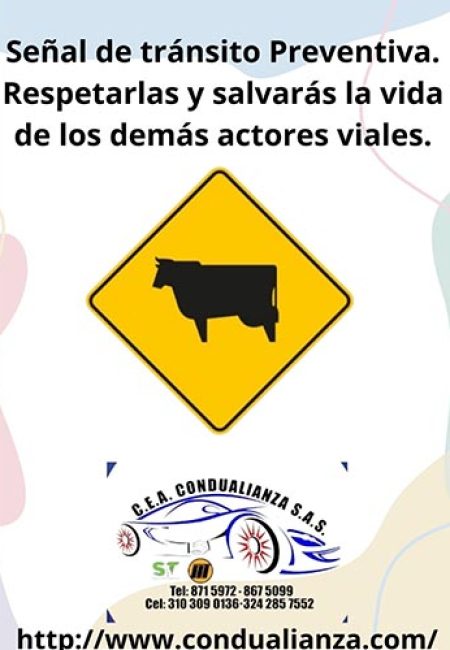 C.E.A. CONDUALIANZA S.A.S.