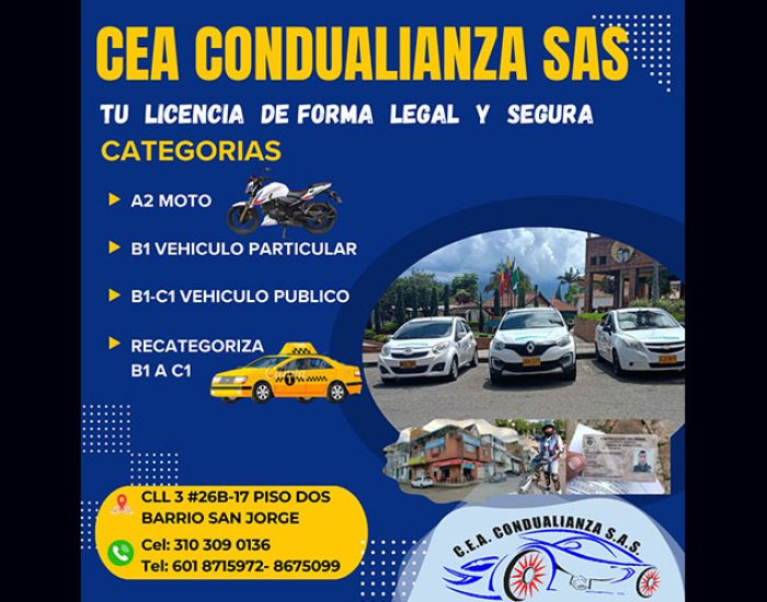 CURSOS PARA SER NUESTRO CONDUCTOR ELEGIDO (CONDUALIANZA)