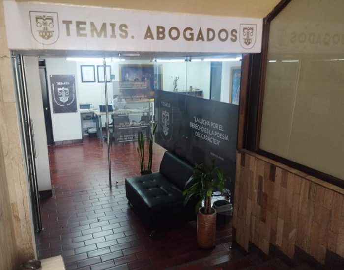 TEMIS PULL DE ABOGADOS