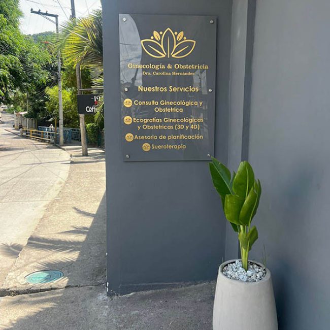 Dra Carolina Hernández Ginecología & Obstetricia