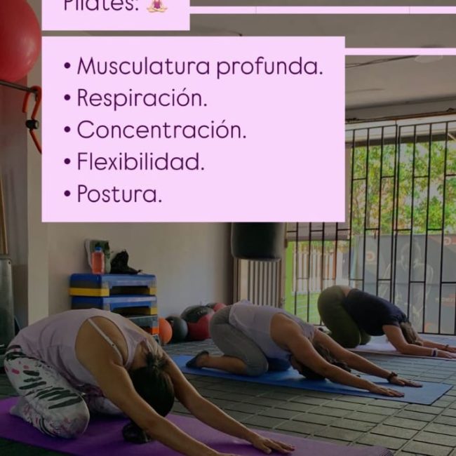 ZONAFITT