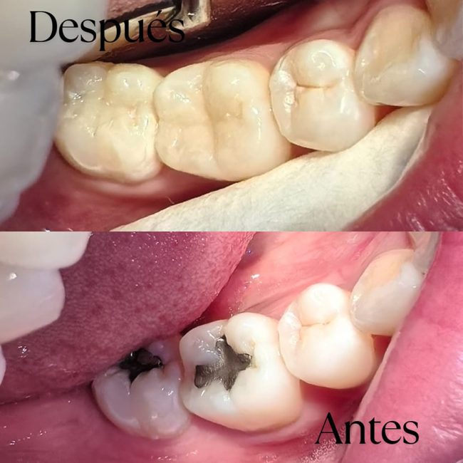 ANDRÉS VANEGAS ORTHOGROUP