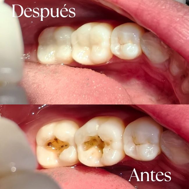 ANDRÉS VANEGAS ORTHOGROUP