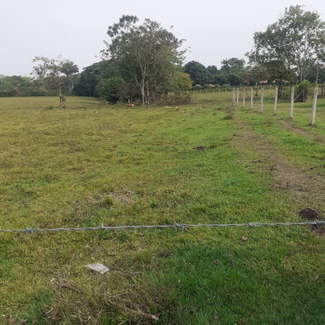 Vendo Estupendos Lotes de Finca cerca a Restrepo Meta