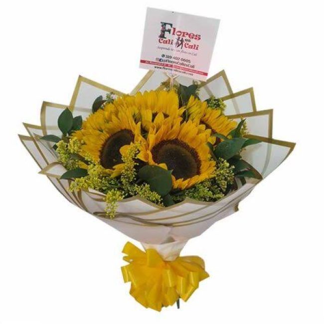 FLORES Y FIESTAS DE COLOMBIA (FUSA)