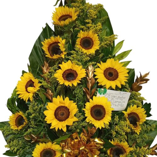 Rosas y Sueños Floristería