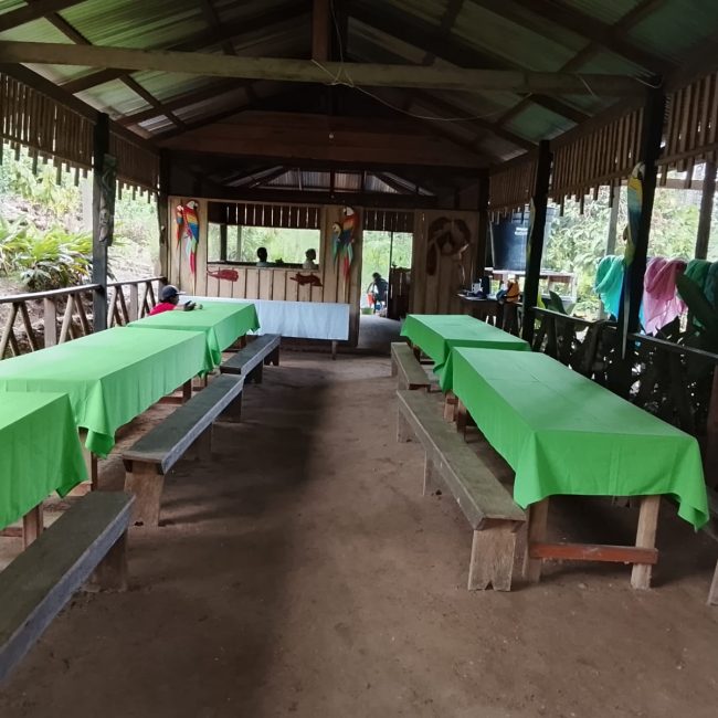 comidas amazónicas Huacapurana.