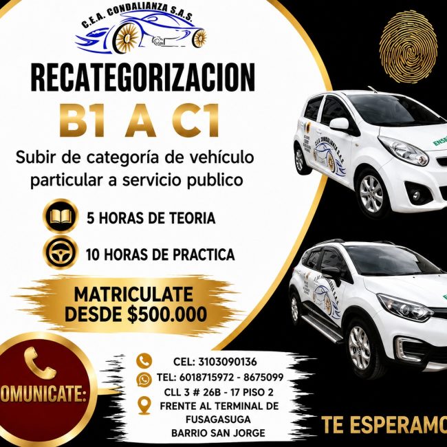 C.E.A. CONDUALIANZA S.A.S.