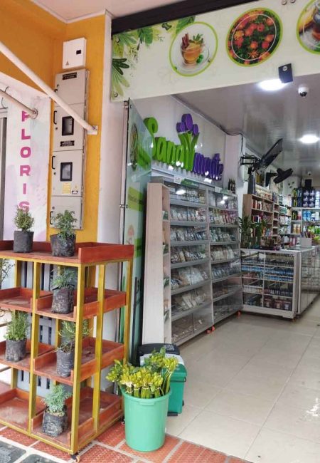 Begonias Productos Naturales