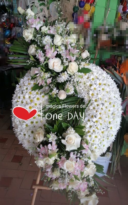 MAGICS FLOWERS