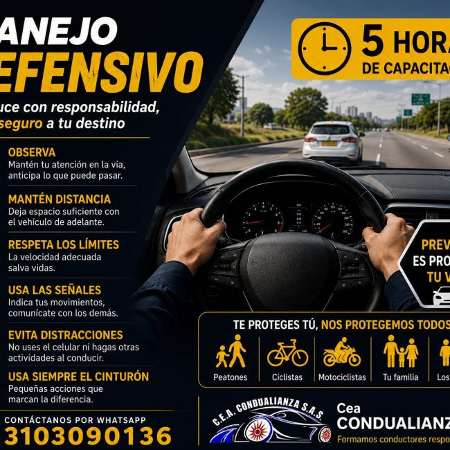 C.E.A. CONDUALIANZA S.A.S.