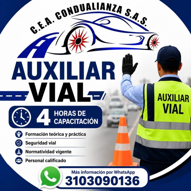 C.E.A. CONDUALIANZA S.A.S.