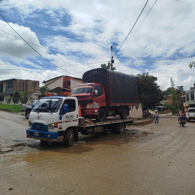 TM GRUAS