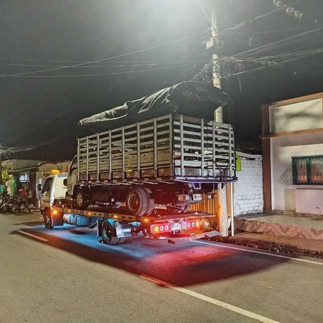 TM GRUAS